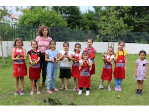 Rengarenk Saksılar Çiçeklerle Buluştu