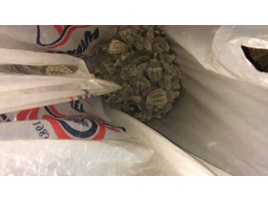 Caretta Caretta Yavruları Vatandaşlar Tarafından Denize Ulaştırıldı