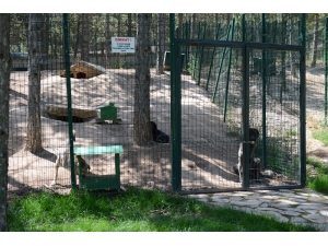 Türkiye’nin En Büyük Ve En Kapsamlı Sokak Hayvanları Bakım Ve Rehabilite Merkezi Isparta’da