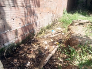 Sokak Hayvanlarını Telef Eden Atık Suya İski Çözüm Buldu