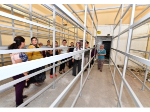 İstiridye Mantarı Yetiştiren Kadınlar Artık İş Dünyasında