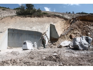 ’Zeytin Dalı’nın Balkanlar’a İhracatı Başladı