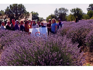 Tarsuslu Kadınlar Lavanta Yetiştirecek