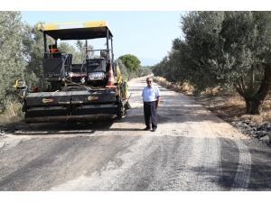 Burhaniye’de Pelitköy Sahilinde Asfalt Sevinci