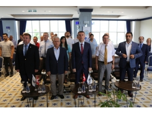 Kaymakam Sırmalı, “Zeytinimiz Ve Zeytinyağımız En Büyük Değerimizdir”