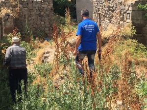 Tutak’ta Başıboş Köpekler Toplatıldı