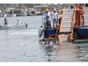 5 Ayda Denizden Yaklaşık 500 Ton Çöp Çıktı