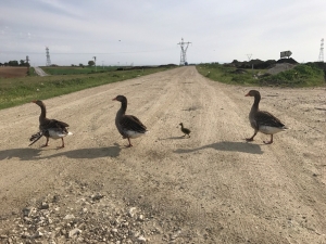 Beymen Club’ın Düzenlediği Fotoğraf Yarışmasının Kazananları Belli Oldu