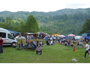 Gümeli Tabiat Orman Parkı Çöplüğe Döndü