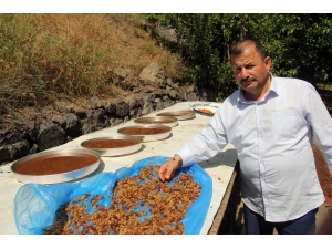 En İyi Pekmez Ve Reçellerin Sırrı: "Güneş Işığı"