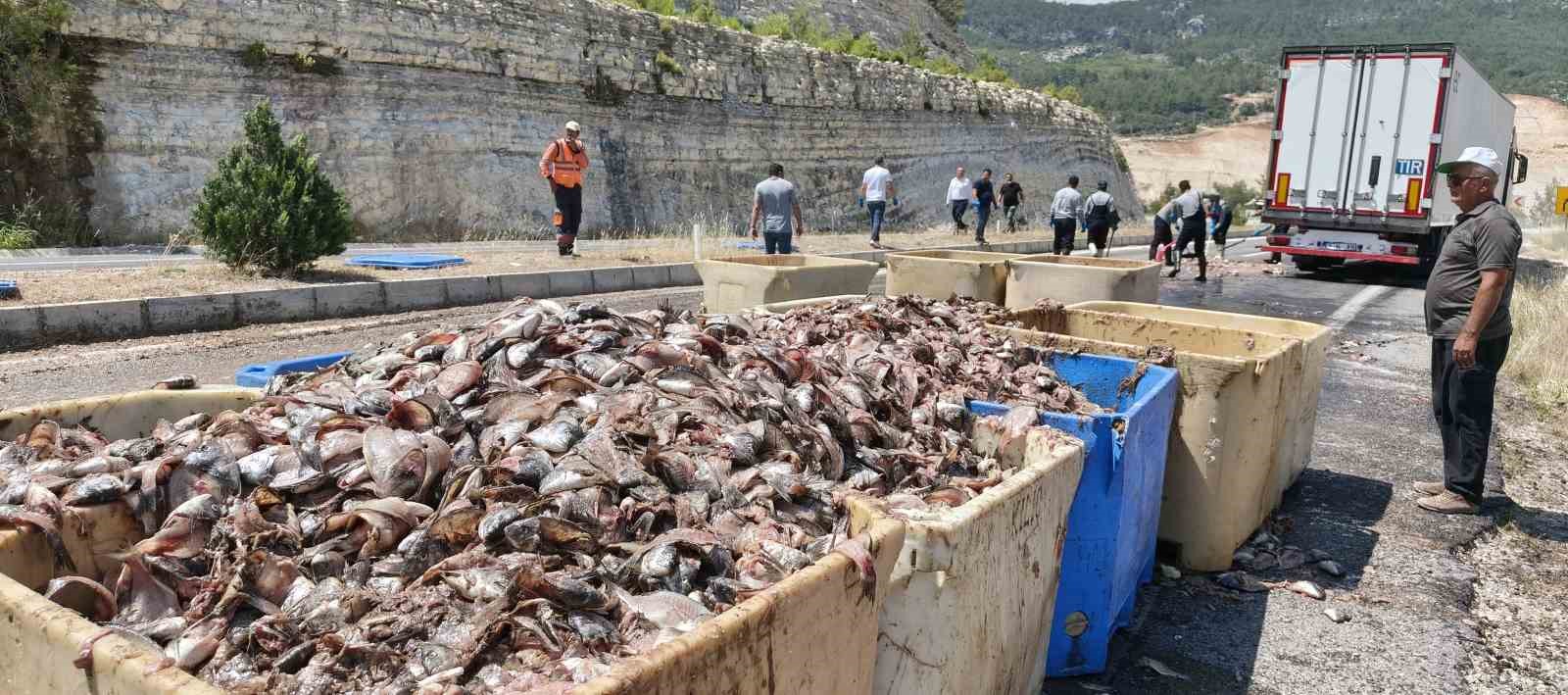 seyir-halindeki-tirin-dorsesi-patladi-15-ton-balik-atigi-yola-sacildi