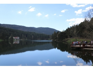 Bolu’nun Doğa Harikası Gölcük, Nilüfer Bahçesine Dönüşecek