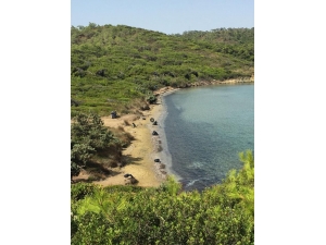 40 Derece Sıcak Altında Koy Temizliği