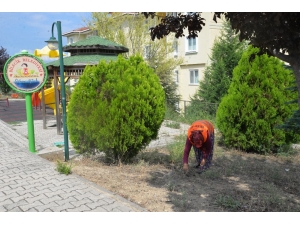 Daha Yeşil Bir Bilecik İçin Çalışıyorlar