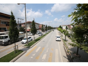 Sakarbaba Caddesi Yenileniyor