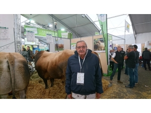 Karacabey’de Kurbanlık Fiyatları Belli Oldu