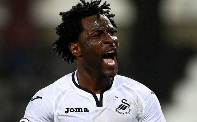 Swansea'den Fenerbahçe'ye Öneri: Wilfried Bony!