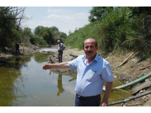 Türkiye’nin Can Damarı Sakarya Nehri Kurumaya Yüz Tuttu
