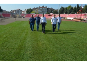 Stada Çim Seriliyor