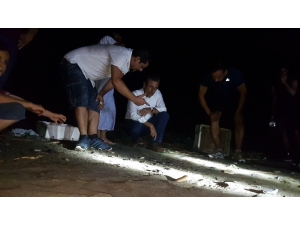 Yavru Deniz Kaplumbağaları Denizle Buluştu