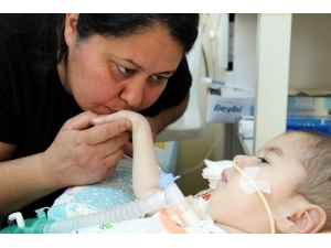 Sma Hastası Minik Uğur’un Ailesinin Elektrik Kesilme Korkusu Sona Eriyor