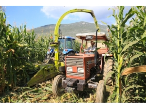 Başkan Atıcı, Silaj Yapma Fiyatlarını Açıkladı