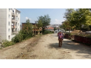 Tekin, Mahallelerde Devam Eden Çalışmaları İnceledi