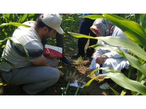 Büyükşehir’in Çiftçiye Desteği Sürüyor