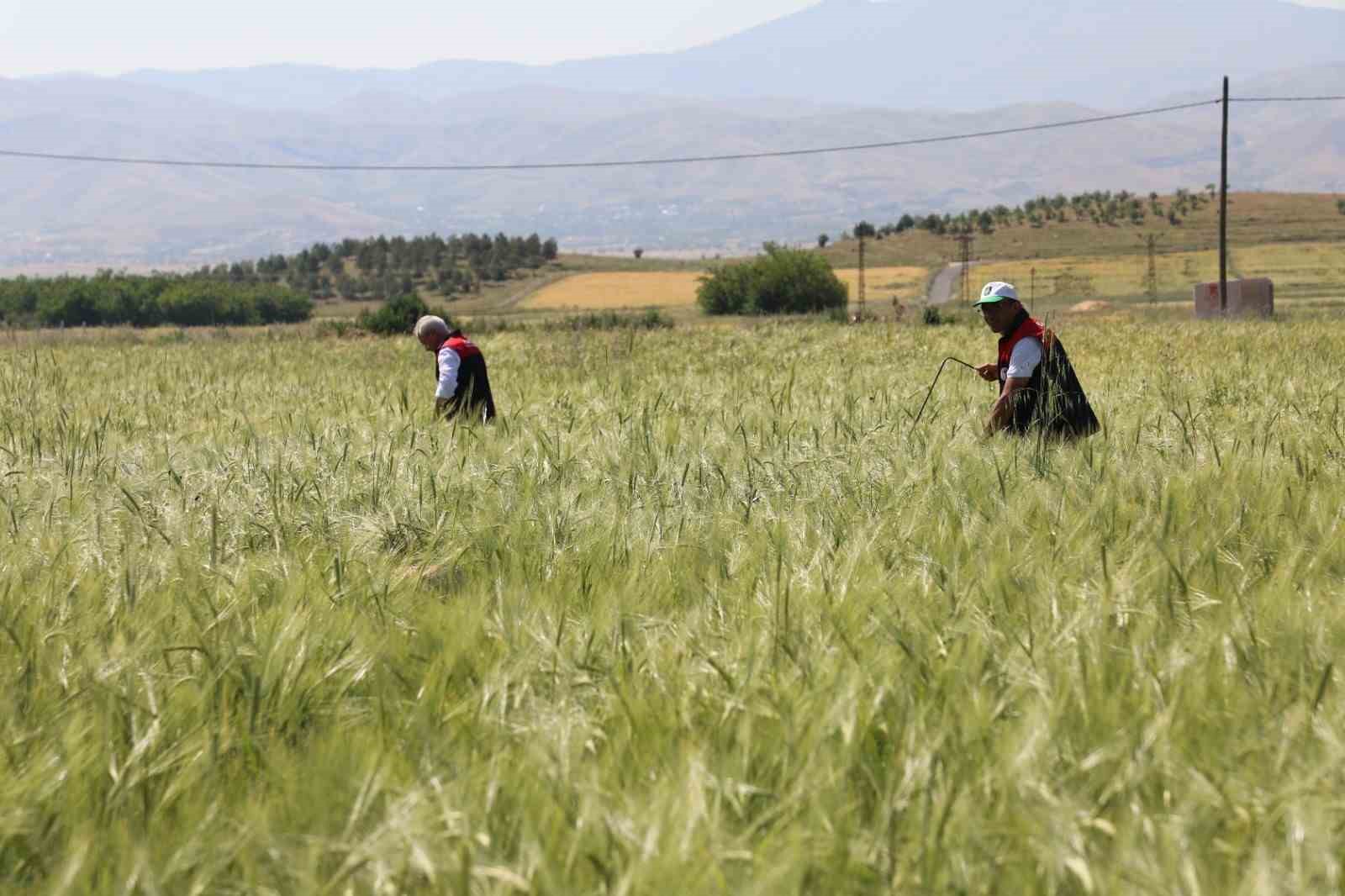 elazig-da-sune-surveyi-ve-cbs-calismalari-sahada-degerlendirildi