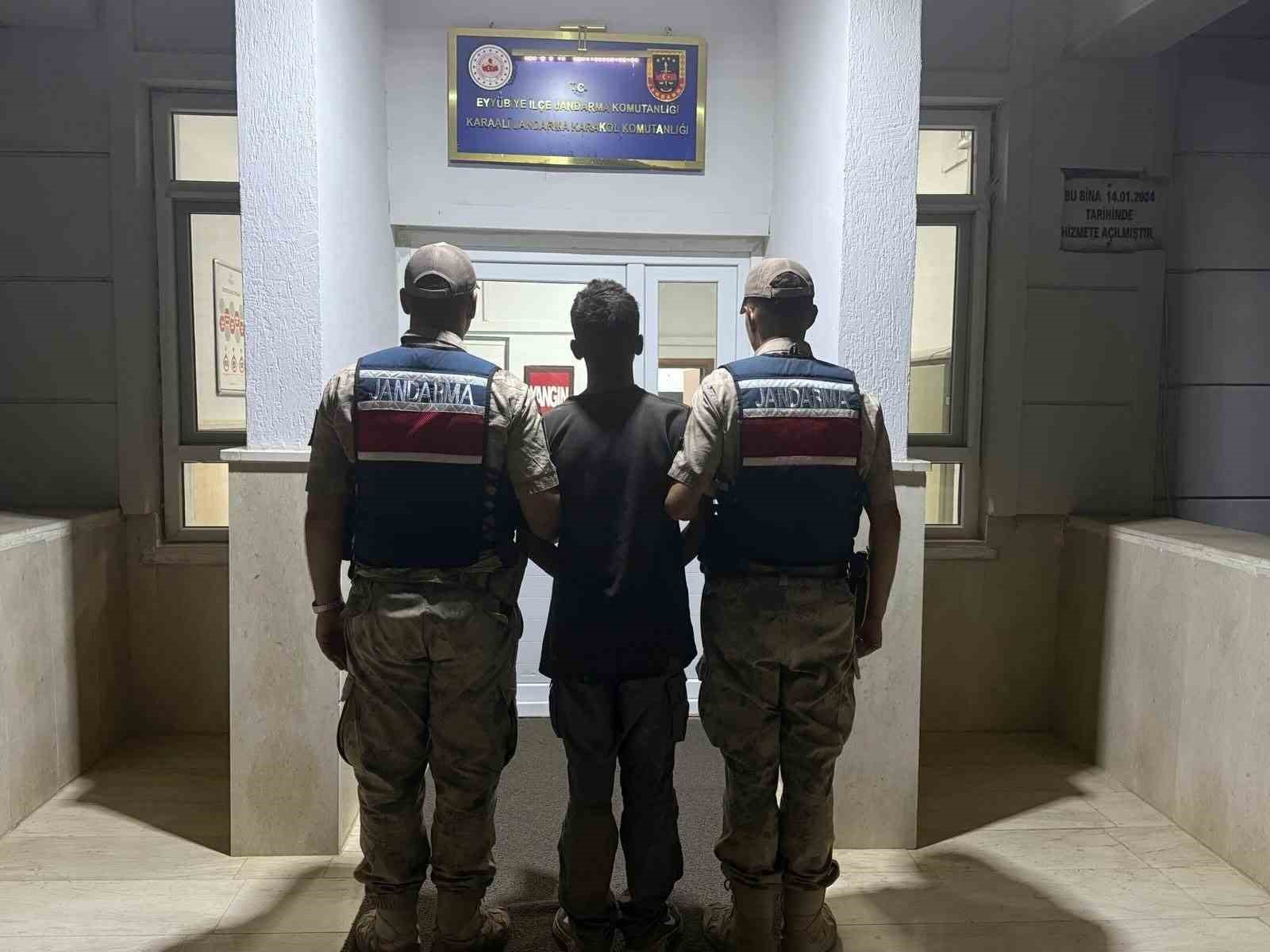 sanliurfa-da-jandarmadan-gocmen-kacakciligi-operasyonu-20-gozalti