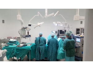 Balıkesir Organ Ve Doku Nakil Koordinatörlüğü Rekora Koşuyor