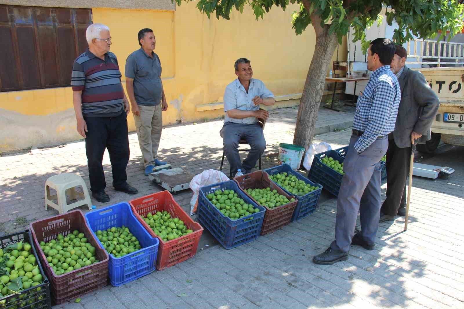 bu-pazarda-meyve-degil-sinek-satiliyor