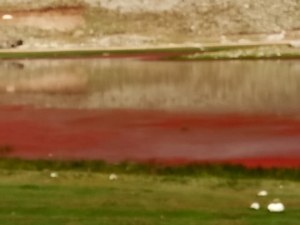 Alanya’da Kırmızıya Dönen Göl Şaşırttı