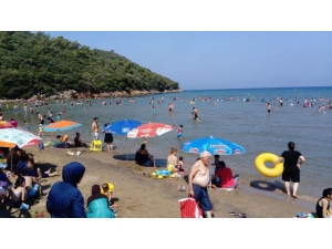 Milli Park Ziyaretçi Rekoruna Koşuyor