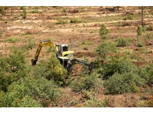 Sarıcakaya’da Sonbahar Hazırlığı