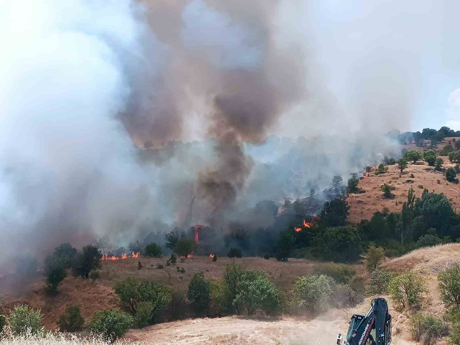 puturge-de-orman-ve-ortu-yangini-kontrol-altina-alindi
