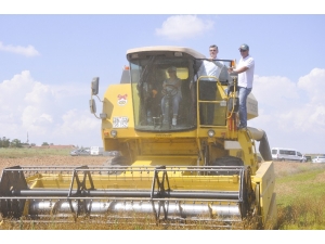 Kadın Çiftçilerin Hasat Sevinci