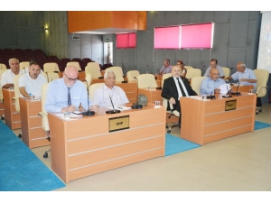 Uşak İl Genel Meclisi, Biokütle Enerji Üretim Santralini Konuştu