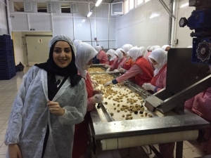 Bursa Kestanesi Fransız Kestanesini Tahtından Etti