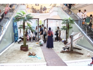 Dünyanın Ünlü Plajları Espark’ta