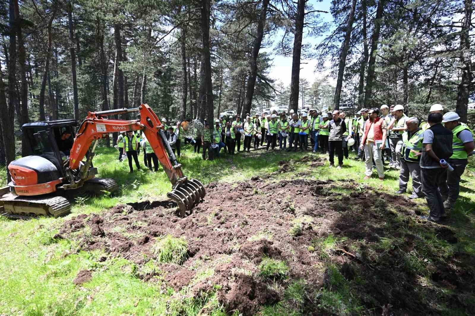 vezirkopru-de-orman-personeline-uygulamali-silvikultur-egitimi