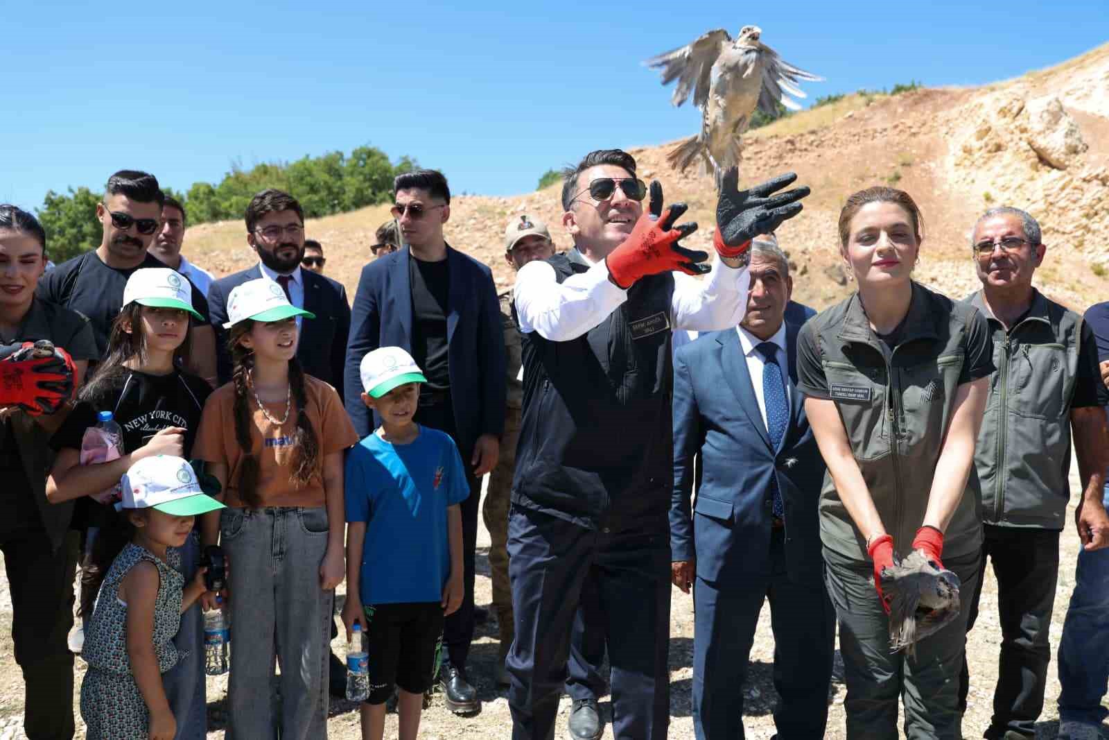 kenelere-karsi-mucadele-suruyor-tunceli-de-500-kinali-keklik-dogaya-salindi