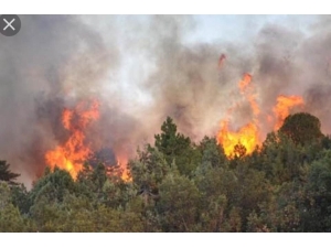 Nurdağı’nda 15. Dönüm Orman Kül Oldu