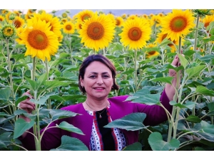 Şevkin: "Ayçiçeği Üretim Alanları Artmalı”