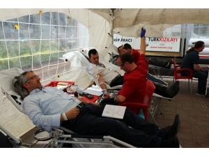 Türkiye’de 326 Bin, Sakarya’da İse Bin 550 Kök Hücre Bağış Donörcüsü Var