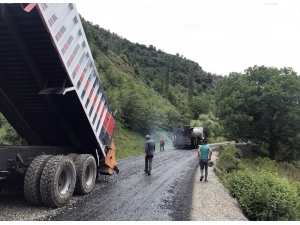 Van Büyükşehir’in Bahçesaray’da Yol Çalışması