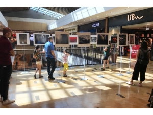 “Sanat Kareleri” Fotoğraflarına Yoğun İlgi