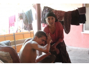 Böyle Çaresizlik Görülmedi, Aydın’dan Yürek Yakan Manzaralar