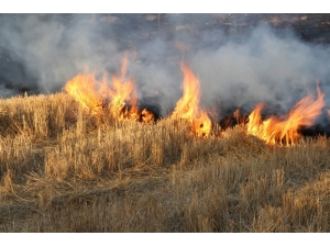 Anız Yangınları Toprağın Verimliliğini Azaltıyor