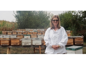 Kanserle Savaşta Propolisin Antitümor Etkisi